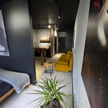 Design Vistula Old Town Free Parking アパート クラクフ