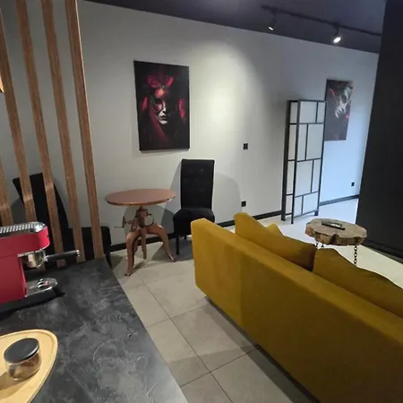 Design Vistula Old Town Private Underground Parking アパート クラクフ
