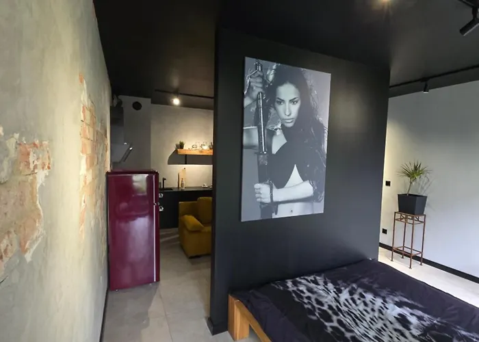 Design Vistula Old Town Private Underground Parking * 克拉科夫